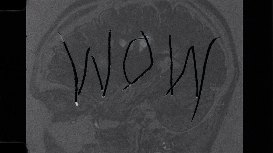 FrameDiscreet's tweet image. Recent work by Irina Tempea 
Timed &amp;amp; Flat versions
Colour &amp;amp; Black White Experimental Film
16mm &amp;amp; Super8mm