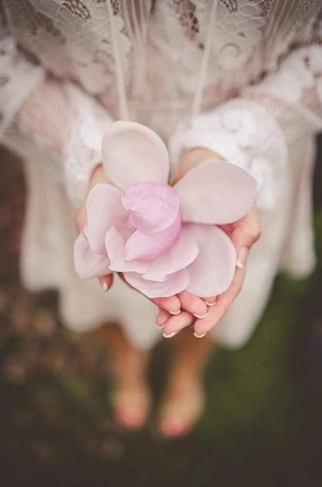 3dbz_'s tweet photo. صدق المشاعر تصنع انسان شاعر
والناس تقرا وش كتب في جديده

عينه تشوف  ان  القصايد.. مشاعر
وعيونهم تلقى  المشاعر ... قصيدة 

♥️🕊

#بوح_الخاطر https://t.co/CZFksGb0my