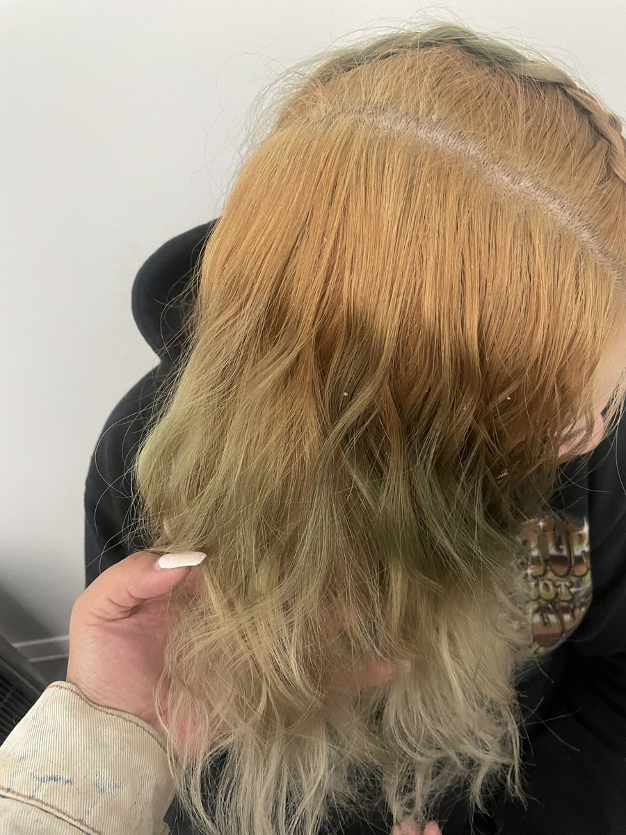 ctpalombo's tweet photo. @bradmondonyc we need your professional help. Our next steps are bleach the moss green ( the darkest) hit the roots and then bleach bath the ends . Any advice ? https://t.co/YLSCQJKl30