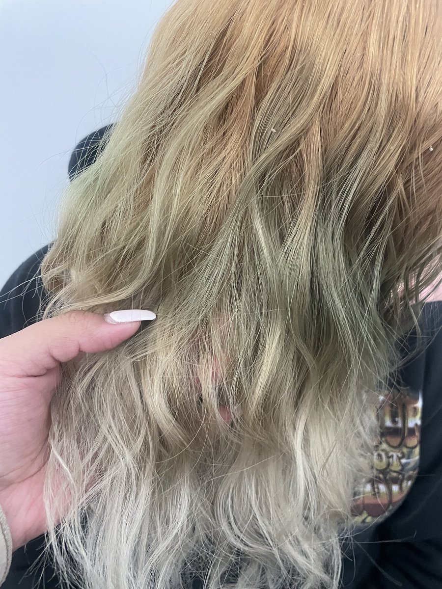 ctpalombo's tweet photo. @bradmondonyc we need your professional help. Our next steps are bleach the moss green ( the darkest) hit the roots and then bleach bath the ends . Any advice ? https://t.co/YLSCQJKl30
