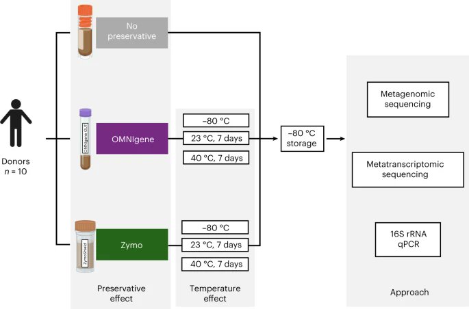 Quantifying bias introduced by sample collection in relative and absolute microbiome measurements go.nature.com/3n1esws
