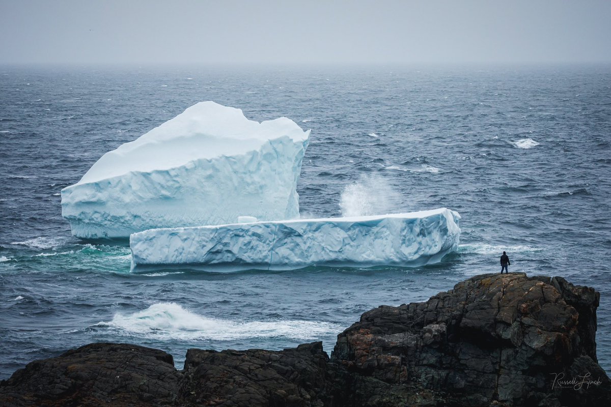 Russell Lynch Photography tweet media