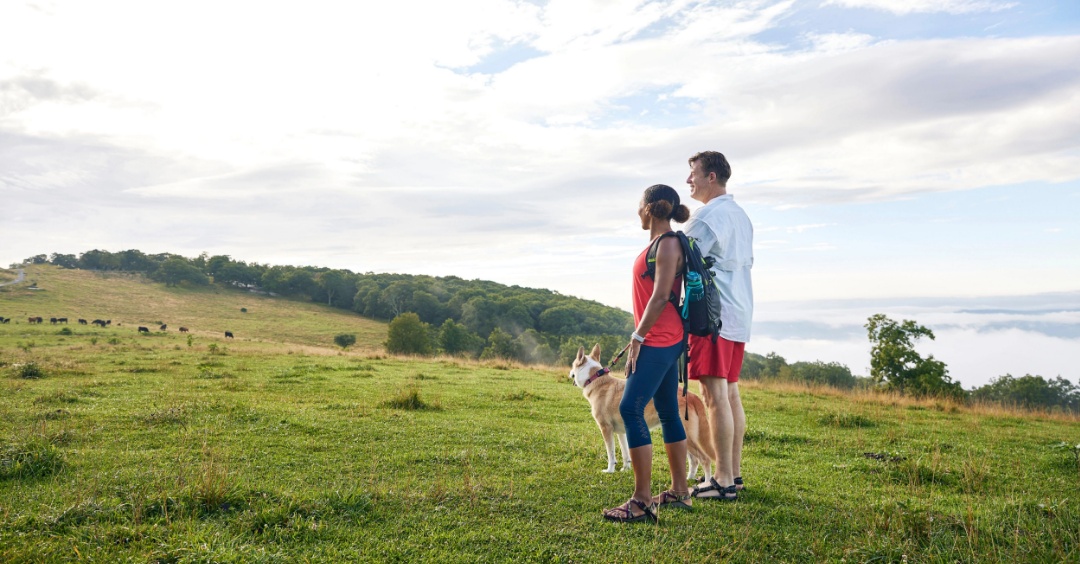 Want to take the stress out of navigating the crowds when you head out for a hike? Here’s some tips to help you reconnect with nature in peace and quiet —

Visit in the off-season
Visit in off-peak hours
Visit when it’s less crowded