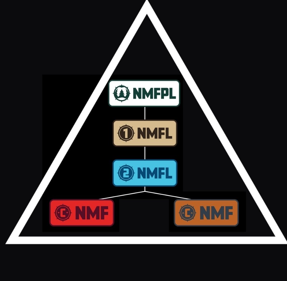 c_cobblestone's tweet image. The only true #prorel pyramid in the U.S. @NMFPLsoccer @NMFL1soccer @NMFL2soccer