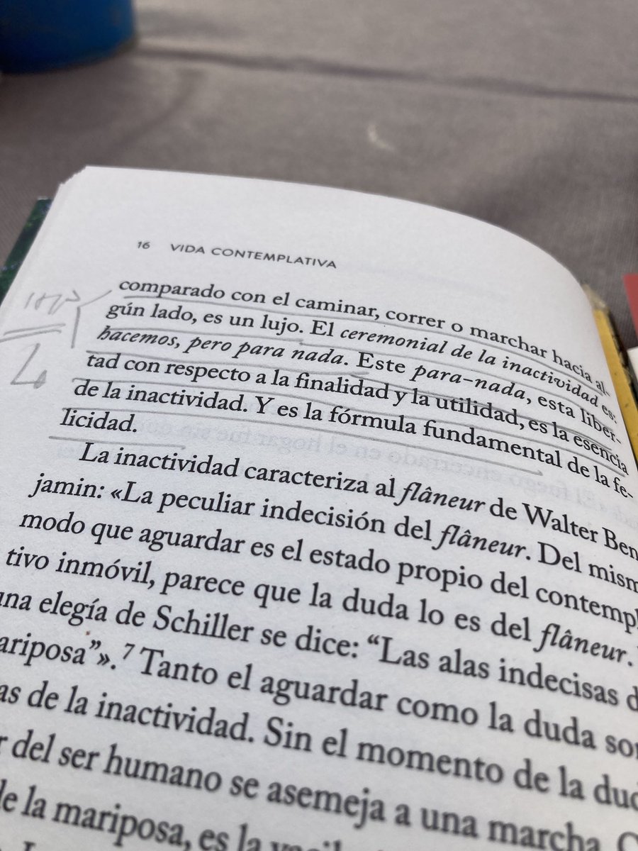 “Andar paseando parsimoniosamente, comparado con el caminar, correr o marchar hacia algún lado, es un lujo. El ceremonial de la inactividad es: hacemos, pero para nada. Este para-nada, es la esencia de la inactividad. Y es la fórmula fundamental de de la felicidad”Byung-Chul Han