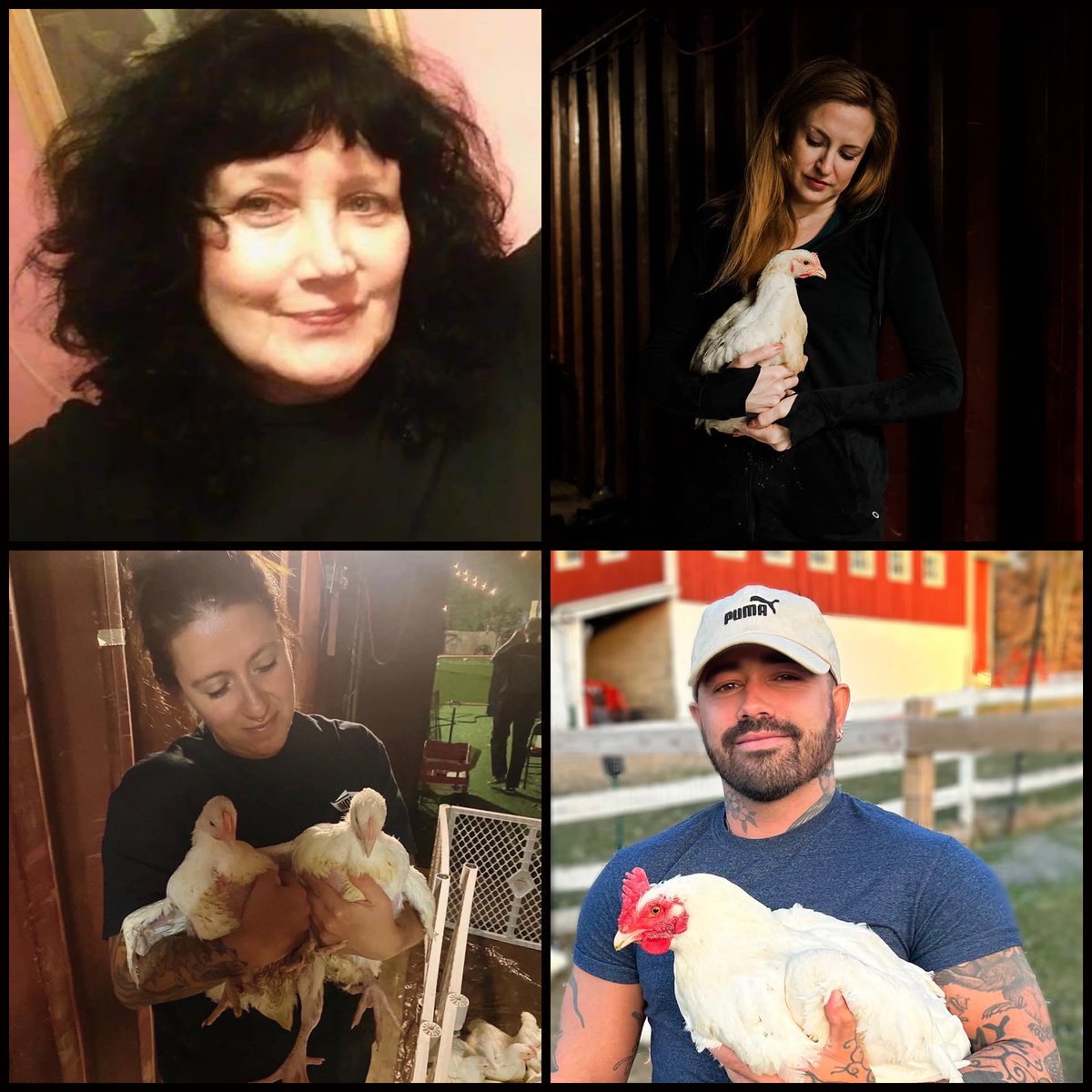 Announcing 2023 NYC Leadership Team for the Alliance to End Chickens as Kaporos! These are all familiar faces to those who have been involved in this campaign over the years. Read more at: endchickensaskaporos.com//2023_nyc_lead…