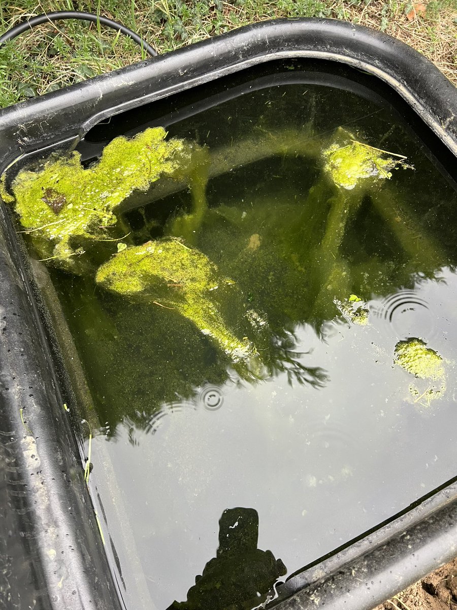 Pat Quirke tweet media