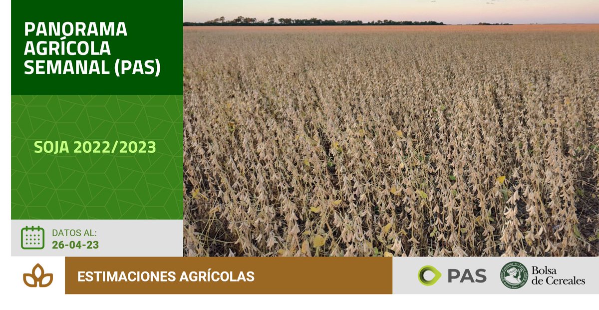 BolsadeC_ETyM's tweet photo. A la fecha, el avance nacional de cosecha de #soja 🌱se ubica en 28,5 % del área apta, marcando un rinde medio nacional de 15,9 qq/Ha.
Más #DatosPAS en el último #PAS📄
👉https://t.co/omIUfD3uAu https://t.co/rrReYaSEnc
