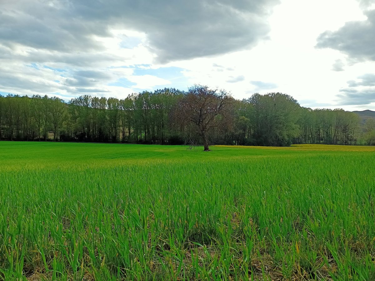 churymer's tweet photo. 4. Abril https://t.co/QWU3JNkstf