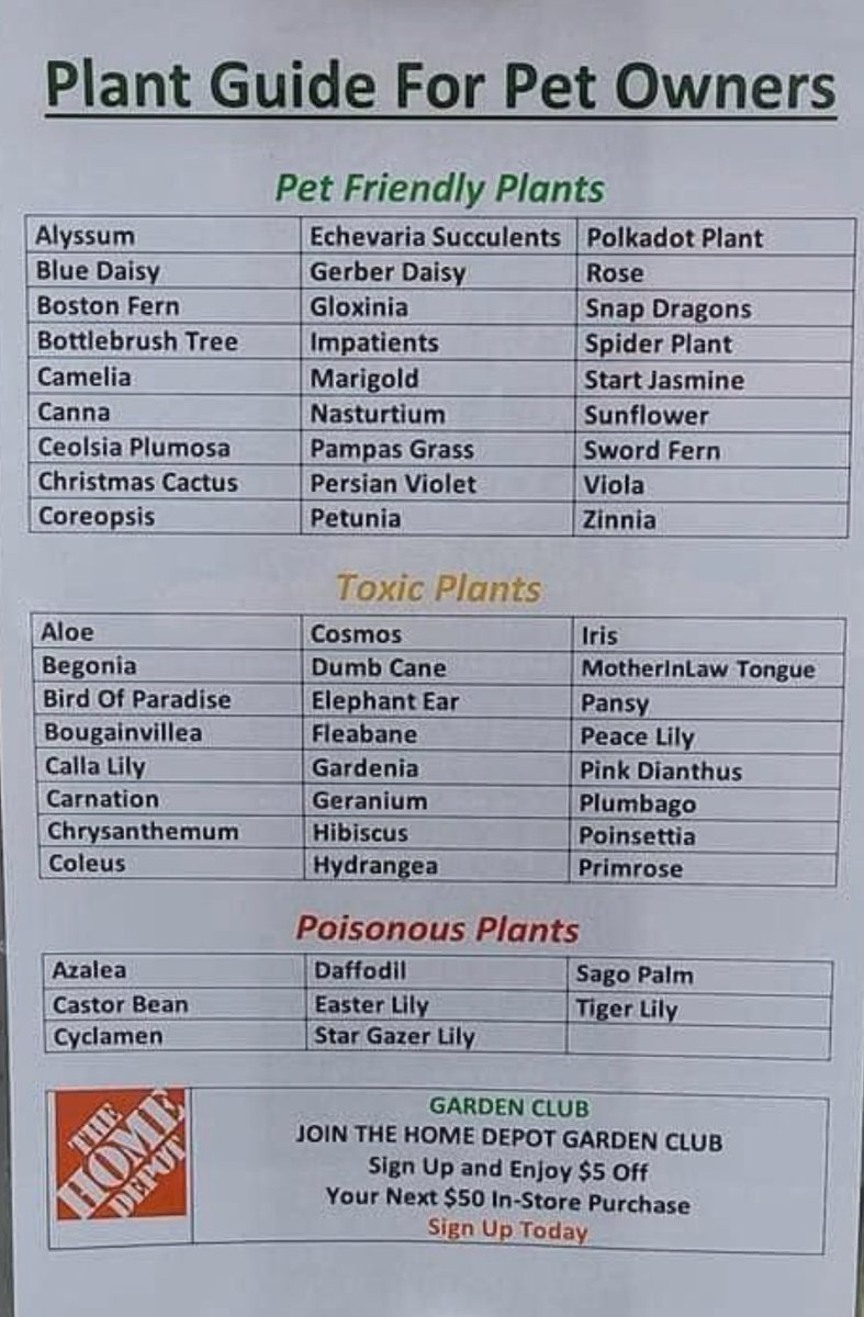 Plant Guide For Pet Owners