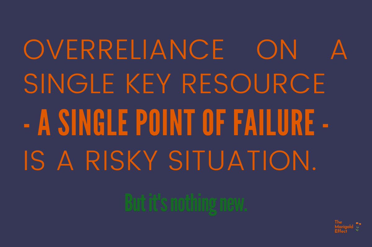 The Irish potato famine & Silicon Valley Bank's failure are 2 examples of how overreliance on a single key resource can create a #SinglePointOfFailure. See how you can anticipate + address these points.  marigoldeffect.substack.com/p/the-power-of…
#RiskManagement #BusinessLeadership #SmallBiz