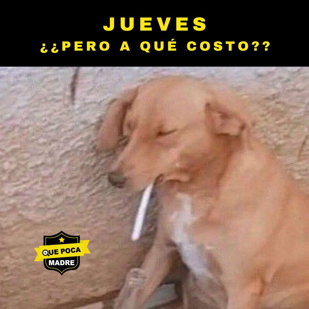 😩😢 Yaestoiharto ‼️❌ Quién más anda en este mood de #Jueves ❓❓ . . #memes  #humor #FelizJueves #godines, image size:1080x1080