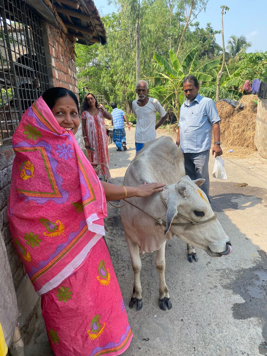 _Crystalgroup's tweet photo. Making a moo-velous impact in Kolkata! Mrs. Sushila Devi Agarwal's generous donation of a cow as part of her CSR efforts will provide nourishment and livelihood opportunities to those in need. 
#CSR #GivingBack #CommunityImpact #CrystalSoltionsforYou #cow #societyfeelings https://t.co/1Wp4LIXrqr