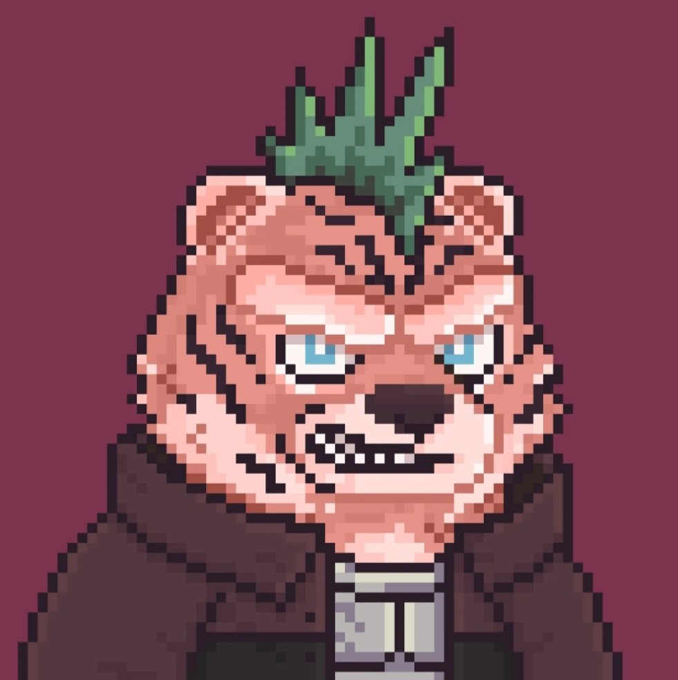 MadMax_HG's tweet image. I just joined @BrawlerBearz Faction Warz alongside my @GeoScapez family 🔥

But then I realized 1 pass = 2 entries and our Faction was outnumbered.

So I decided to buy this Tan Tiger to grow our ranks!

Why Tiger? Because @HeroGalaxy_NFT🐯

(Rewards earned will go to HGwarchest)