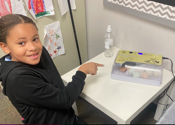 Martha Reid tweet media