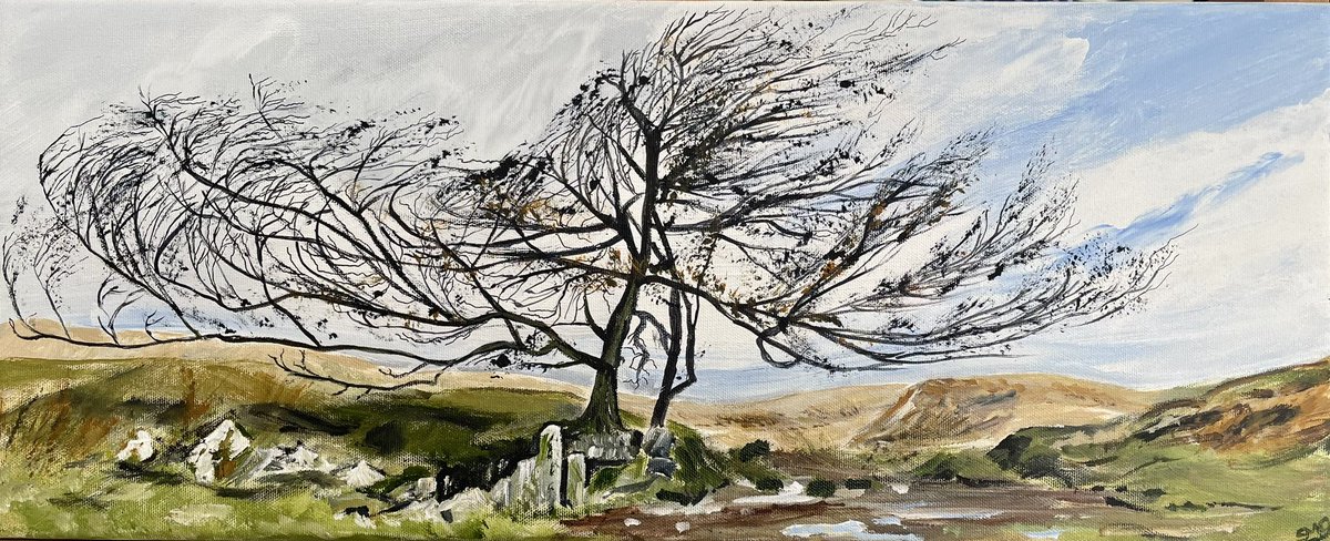 Hello #womaninbizhour
I finished off this Dartmoor Tree today thanks to <a href="/TreesforDorset/">Dorset Trees, Woods & Hedges Network</a> for the inspiration.
Available now on my website 

sueosullivan.com/product-page/d…

#artistontwittter #landscape