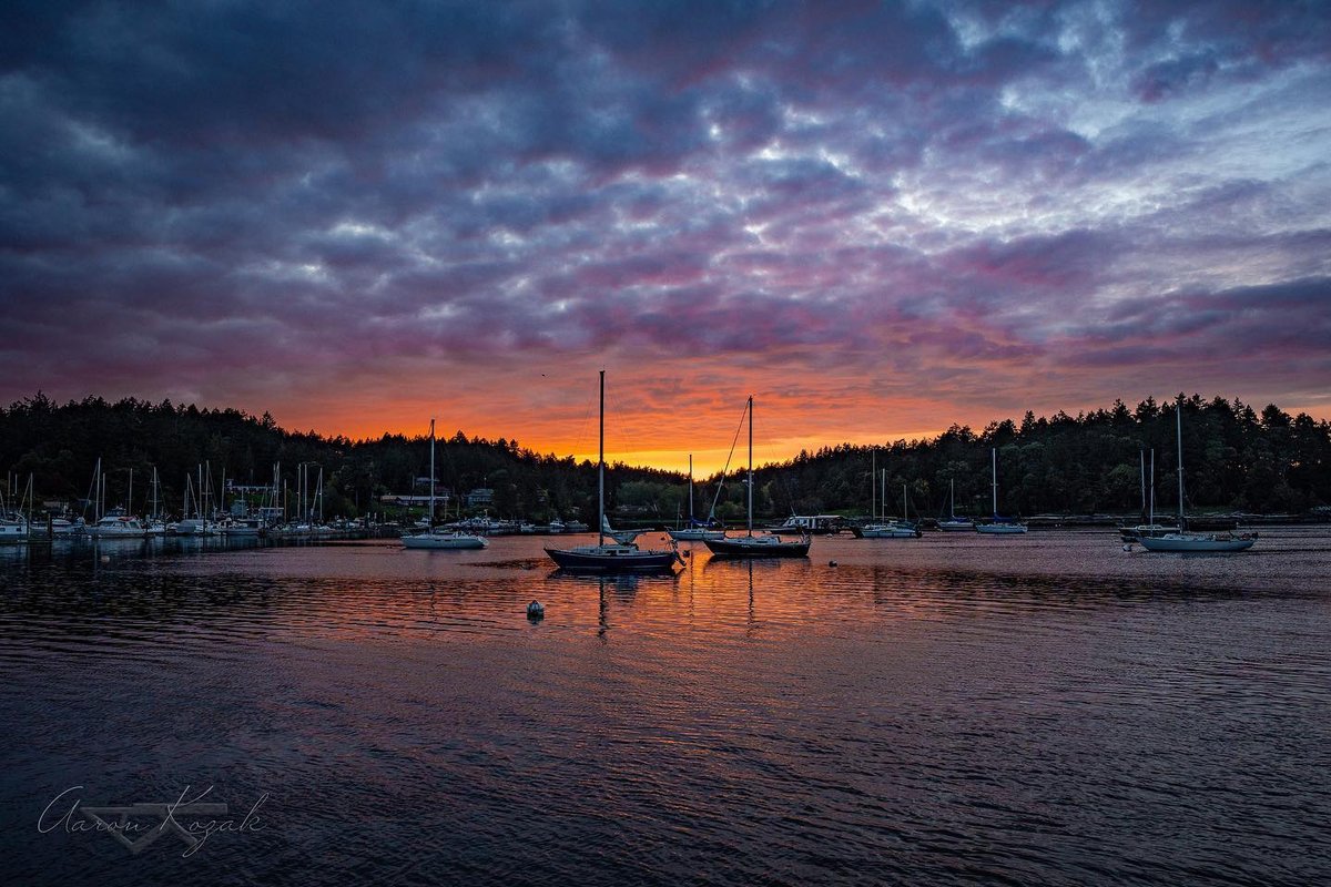 ResortSilva's tweet photo. #ilovesilvabay - Have you ever visited Silva Bay? Share your favorite memories and impressions with us in the comments! And if you haven't, come and explore this hidden gem of British Columbia. You won't be disappointed! 

Photo credit 📷: @anvilography

#silvabay #gabriolaisland https://t.co/ITsYGabk30