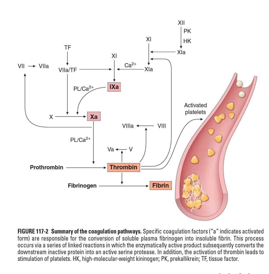 🛑ARTERIAL THROMBOSIS is more of a vessel wall injury and platelet based mechanism

🔷VENOUS THROMBOSIS is more of a coagulation cascade and fibrinolytic pathway based mechanism 

PS: There is however some overlap in both pathophysiological mechanisms
#HemeTwitter #Hematology