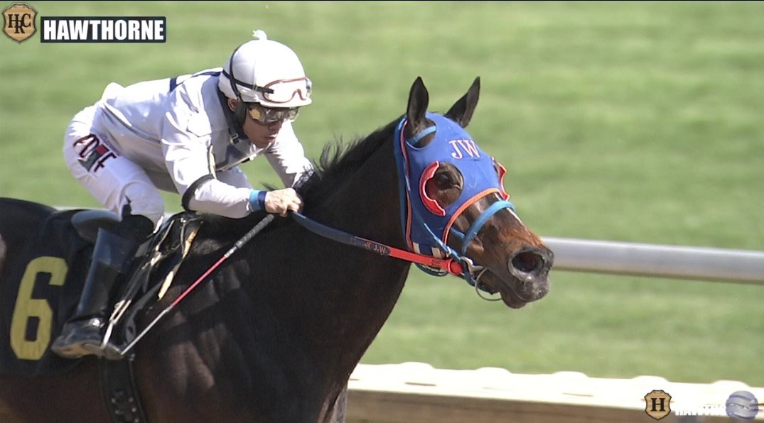 cooter696969's tweet image. Tungsten+ off the screen