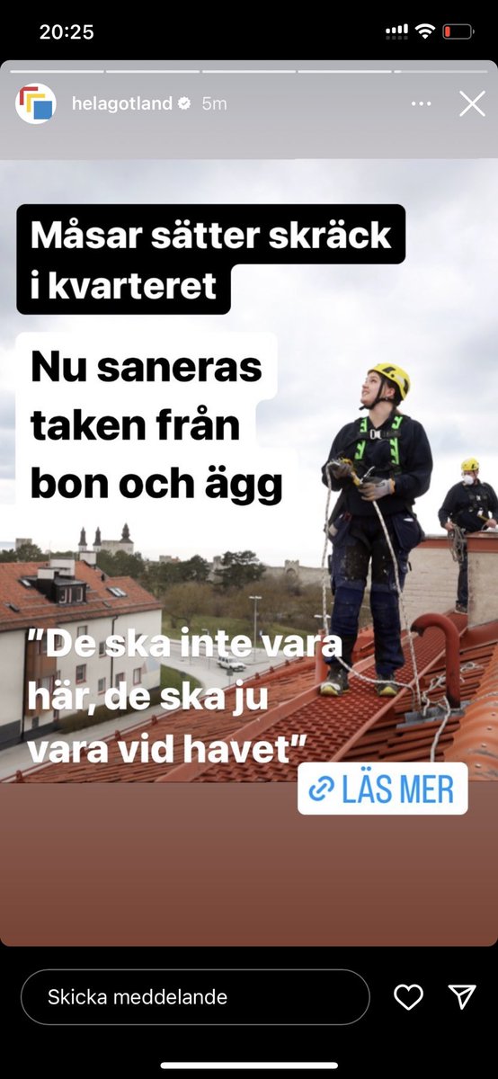 Måsar > kriminella gäng

När detta är breaking news förstår man ändå hur bra man har det
