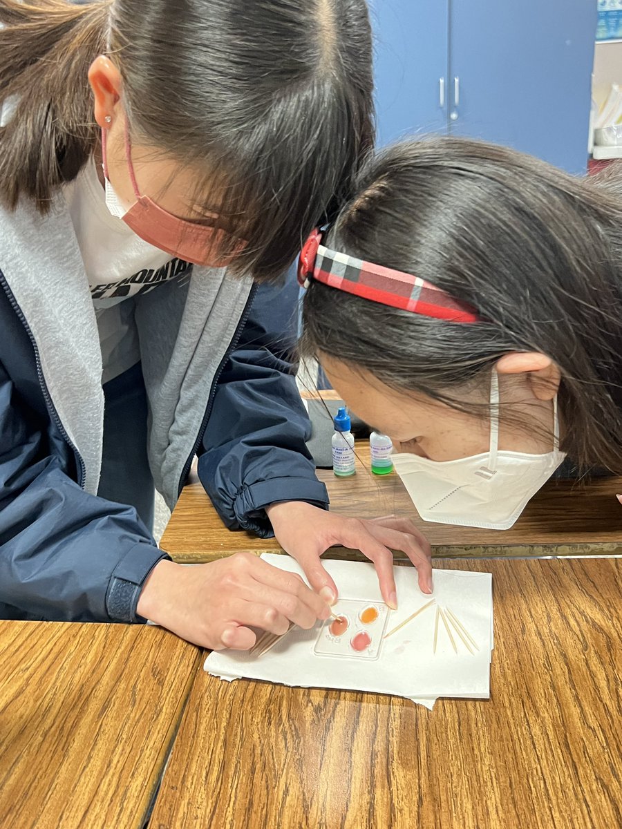 zhenbio's tweet photo. Honors bio students determine unknown blood types based on the antigen-antibody agglutination patterns 🩸🅰️🅱️🆎🅾️
#zhenhonorsbio
#zhenbio
#TodayatWHS https://t.co/O0cuAOuQrT
