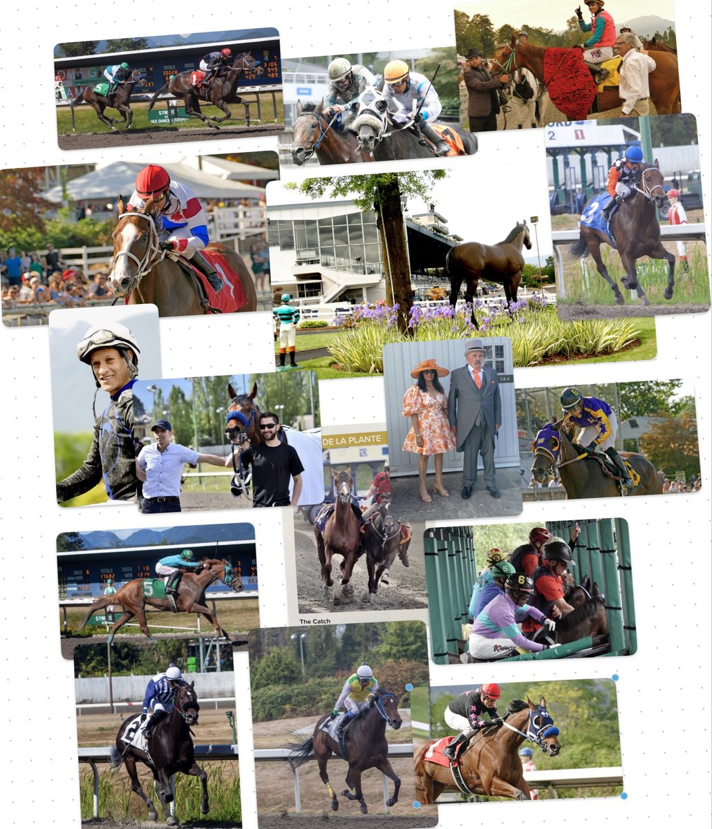 Well over 200 people from B.C.’s racing industry came together at Vancouver’s Italian Cultural Centre on Wednesday evening to honour the very best performances of the 2022 racing season at Hastings

horseracingbc.substack.com/p/and-the-winn…