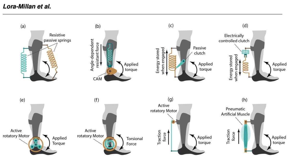Interesting new preprint summarizing variations & advances in the mechanical design of wearable assistive ankle-foot orthoses: #exoskeletons #exosuits #biomechanics
