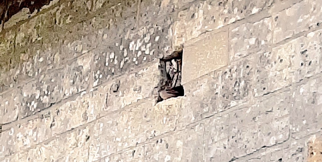 limwierde's tweet photo. A sparrow's home is his castle ❤. #Keutenberg https://t.co/dhiGzH4iu4