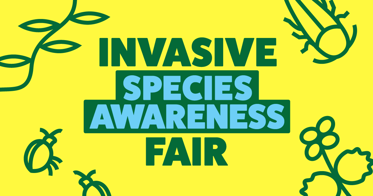 citymississauga's tweet image. Join our Invasive Species Awareness Fair at Tecumseh Park on Saturday, May 13, starting at 9am

You will be able to:
🌱Learn about invasive species
🌳Join in a guided walk &amp;amp; family-friendly activities
🌼Take part in a wildflower giveaway

🔗ow.ly/sfy350NXP6z @saugaparksrec