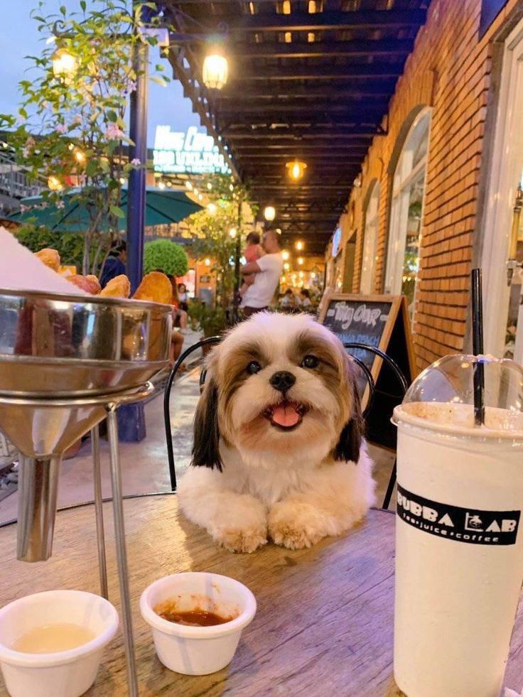 iPositivamente's tweet photo. La cita perfecta no existe

La cita🥺💓 https://t.co/29Qs1siCvU