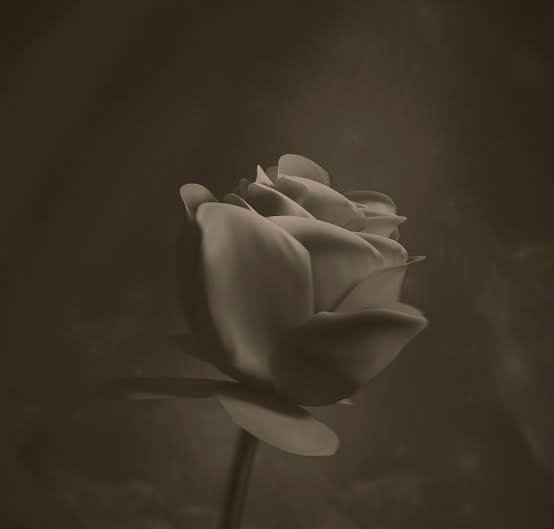 Hayâtımda sana kanmak nasîb olmaz ise eğer
Kapansın perde çekilsin cihân sensiz hiçe değer

|Necati Tokyay