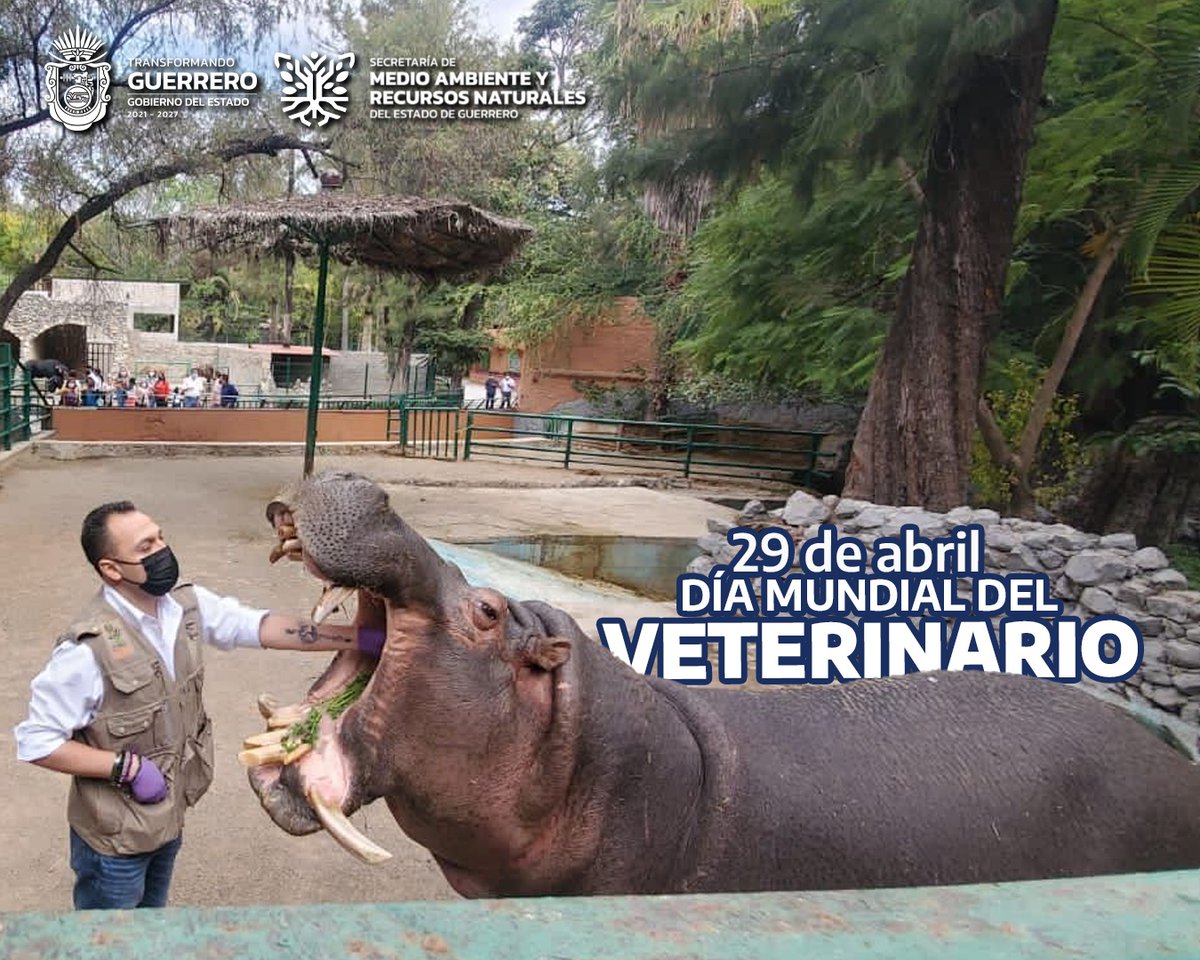 SEMARENgro's tweet photo. Hoy hacemos un especial reconocimiento a la importante y noble labor de las y los médicos veterinarios, agradeciendo su esfuerzo y dedicación. 👩🏻‍⚕️🧑🏻‍⚕️🐕🐎🐆🐱🐇 https://t.co/lrRXkVzGOJ