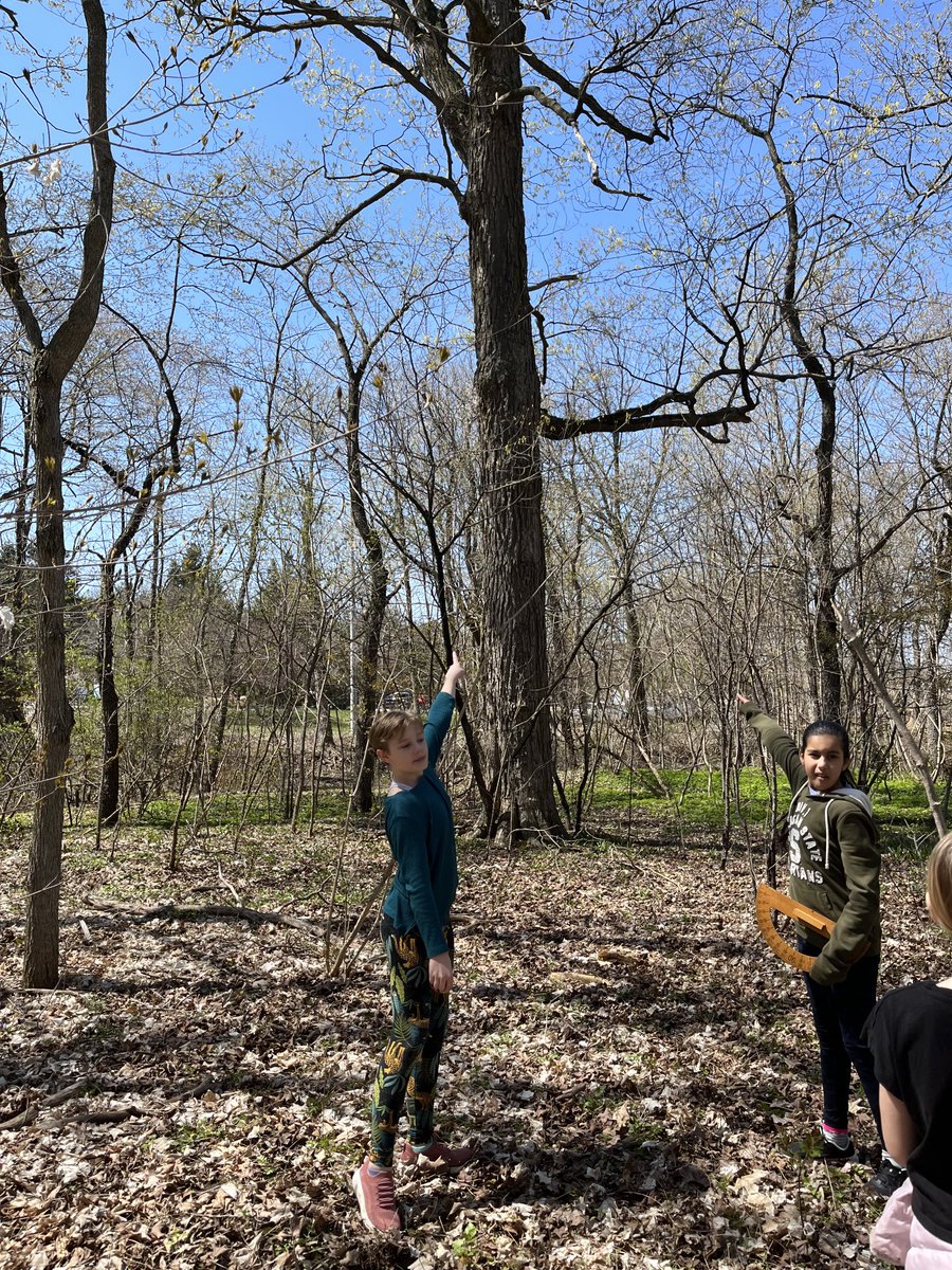 AvonHahn's tweet photo. A beautiful day for math outdoors. We measured angles and used algebra to figure out the supplementary angles. https://t.co/EAAT0xAg1Z