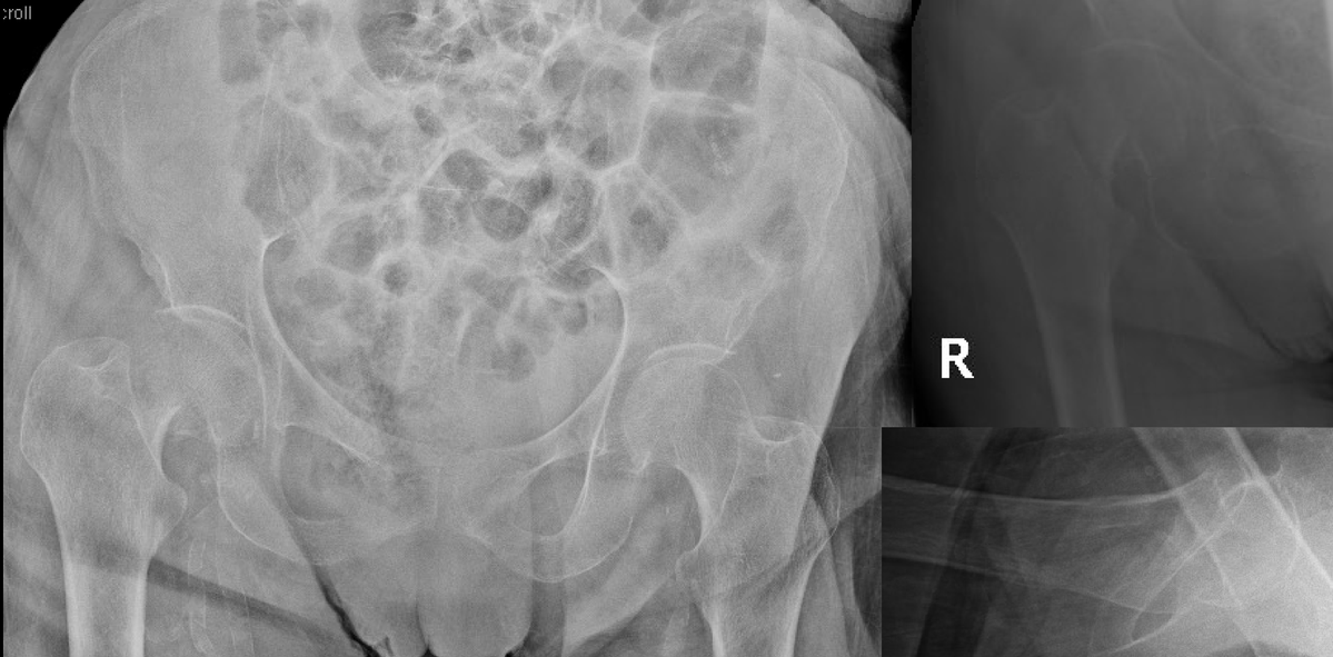 Ortho Reviews tweet media