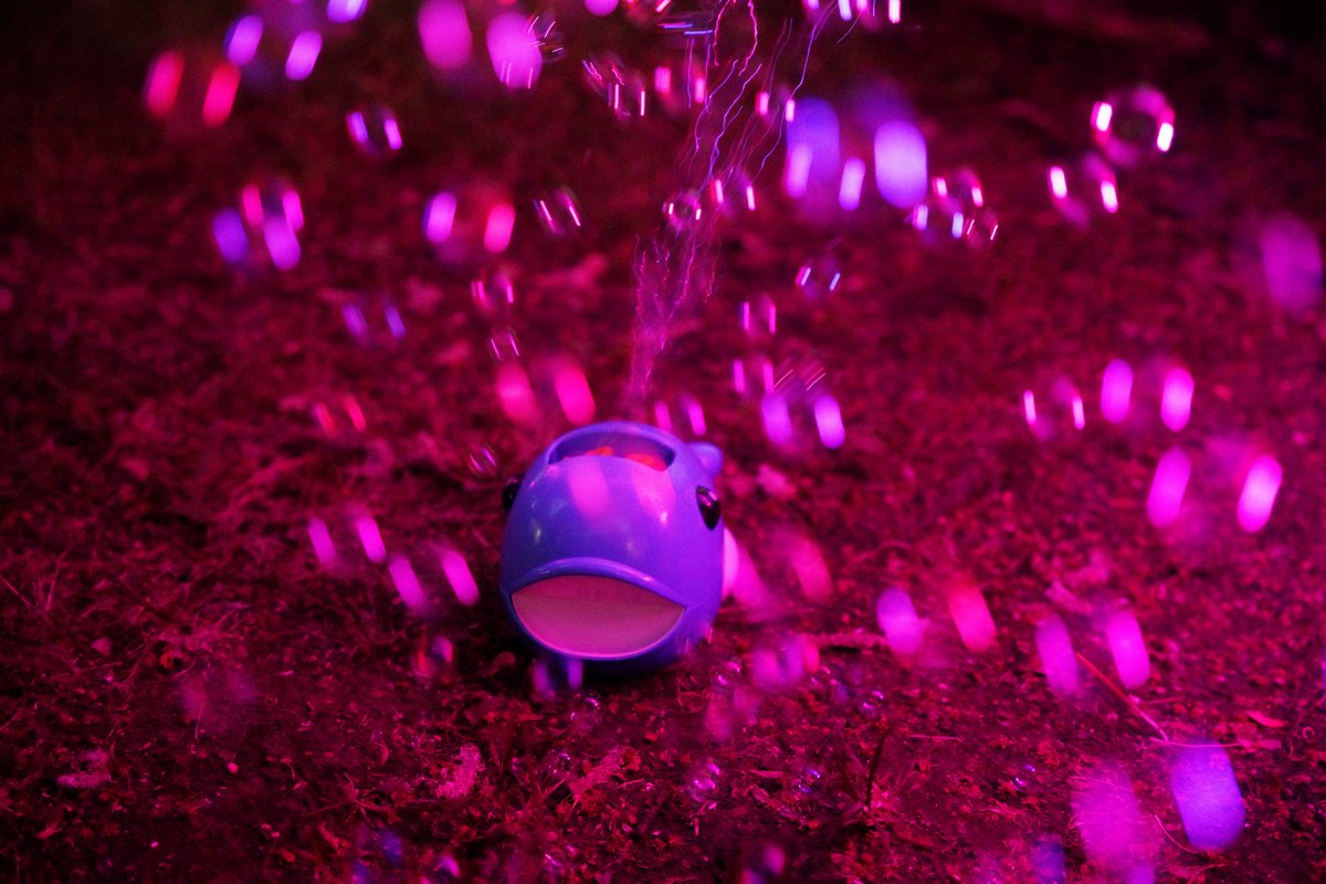 Neisse Film Festival tweet media