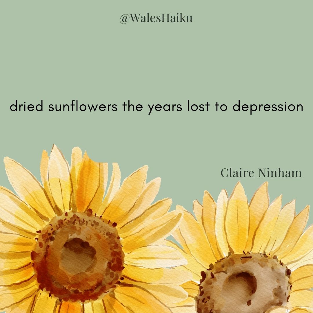 WalesHaiku's tweet photo. Not long to go before the Spring issue of Wales Haiku Journal is here... 

Until then, sharing another favourite #poem from the last issue, this one by Claire Ninham 😍. 

To read this and other #haiku and #senryu: 👇 https://t.co/9Cyoybhj4J… #waleshaikujournal https://t.co/lBXtC7E1Wx