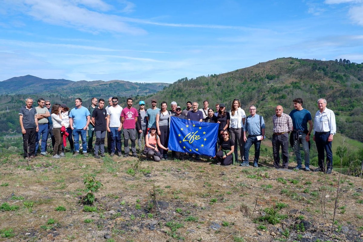quecoak's tweet image. Fantástico día de campo en Asturias el marco de la Reunión de Expertos para la preparación del WP3 del proyecto  @carbon2mine, todo un lujo poder visitar las distintas formaciones forestales presentes en los Montes del Grupo #Hunosa @LIFEprogramme organizado por @asun_camara 1/4