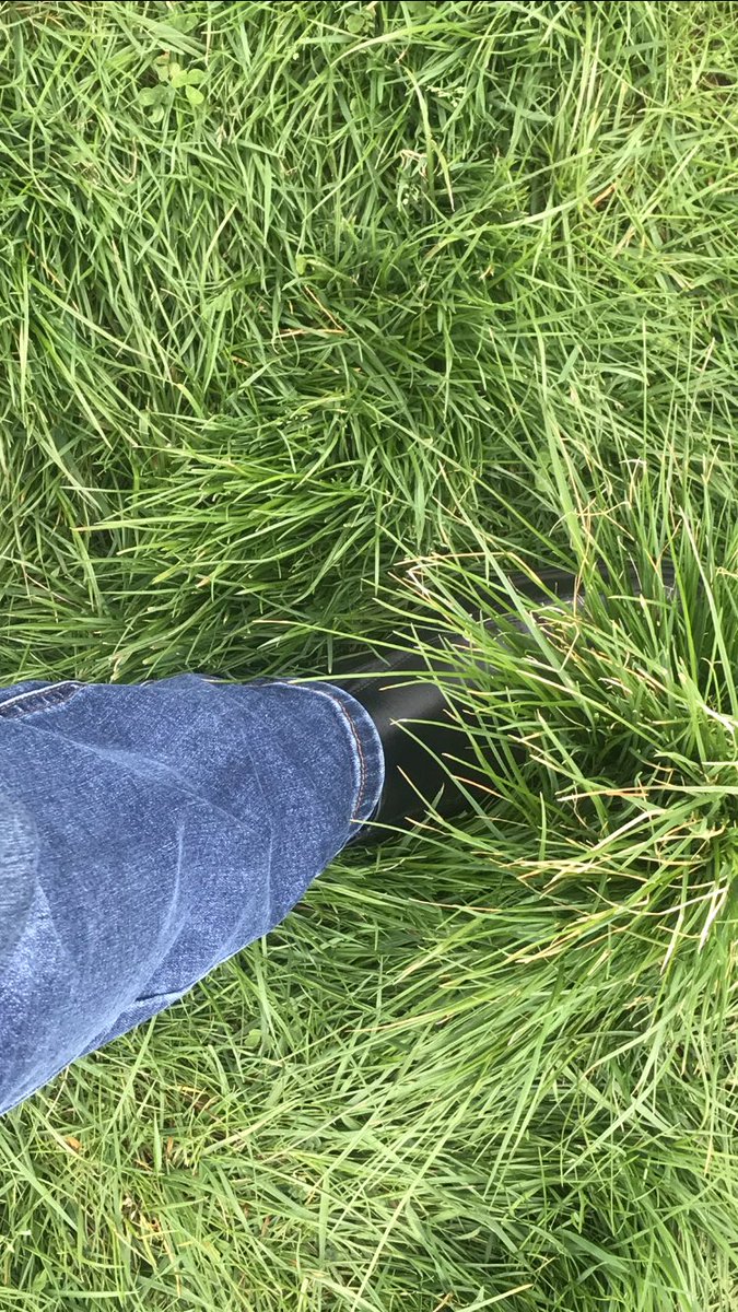 Kenny9Saunders's tweet photo. Been down to Calderstones Park tonight to see if our training pitch for our FREE coaching sessions had been cut and guess what it hasn’t, we might just get 1 more session on this Saturday but going forward if the Grass doesn’t get cut then our sessions might be no longer https://t.co/ofKiaF7yiY