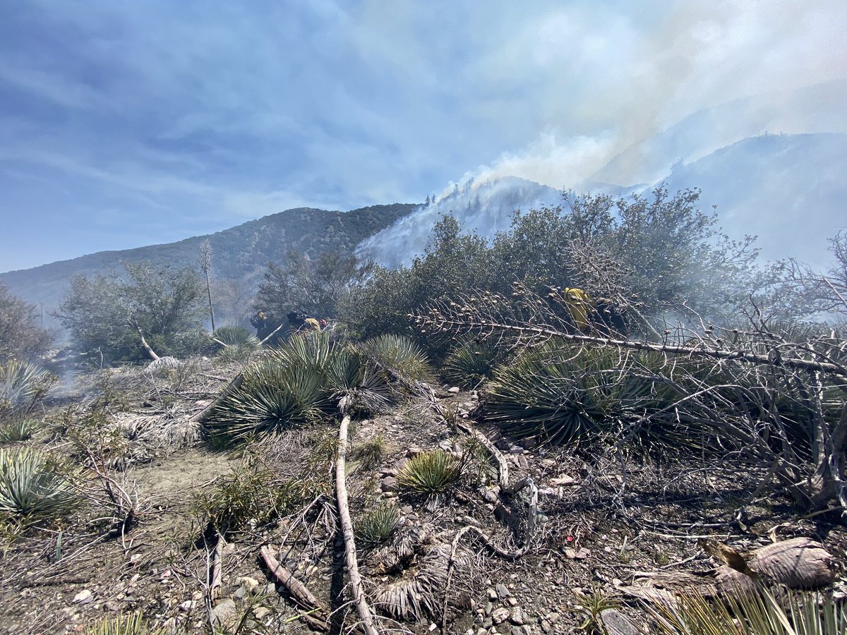 dmags1981's tweet photo. #NobFire in Lytle Creek was NOT from a control burn unlike some news media has reported, Fire is still under investigation. https://t.co/FaecUHPV4B