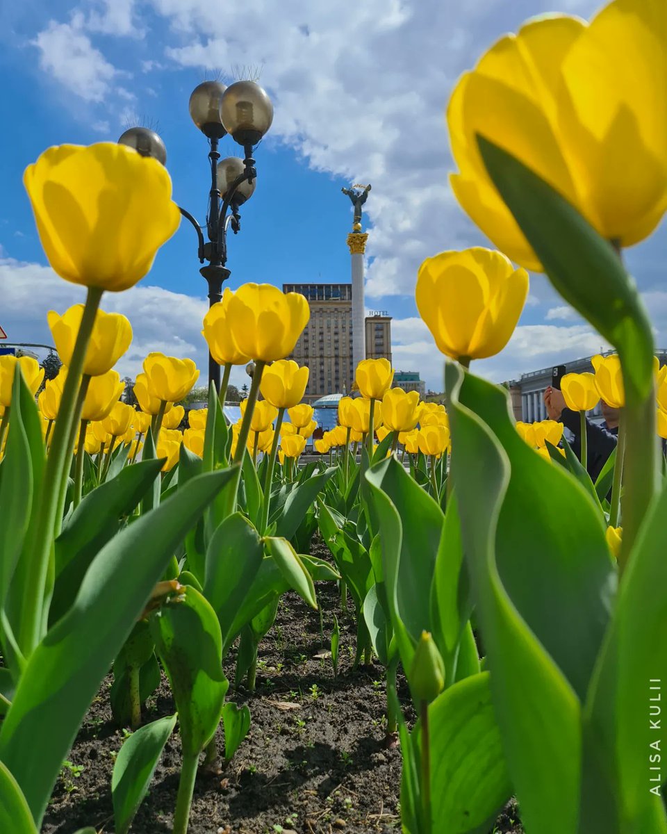 alisakulii's tweet photo. This is #KYIV 2023 💛💙
#StandWithUkraine https://t.co/G4xu3SSaHo
