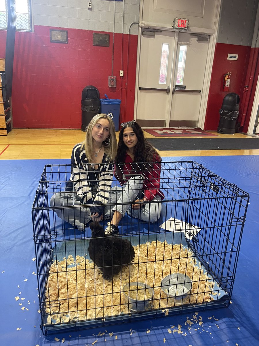 MFS WordsWorth tweet media