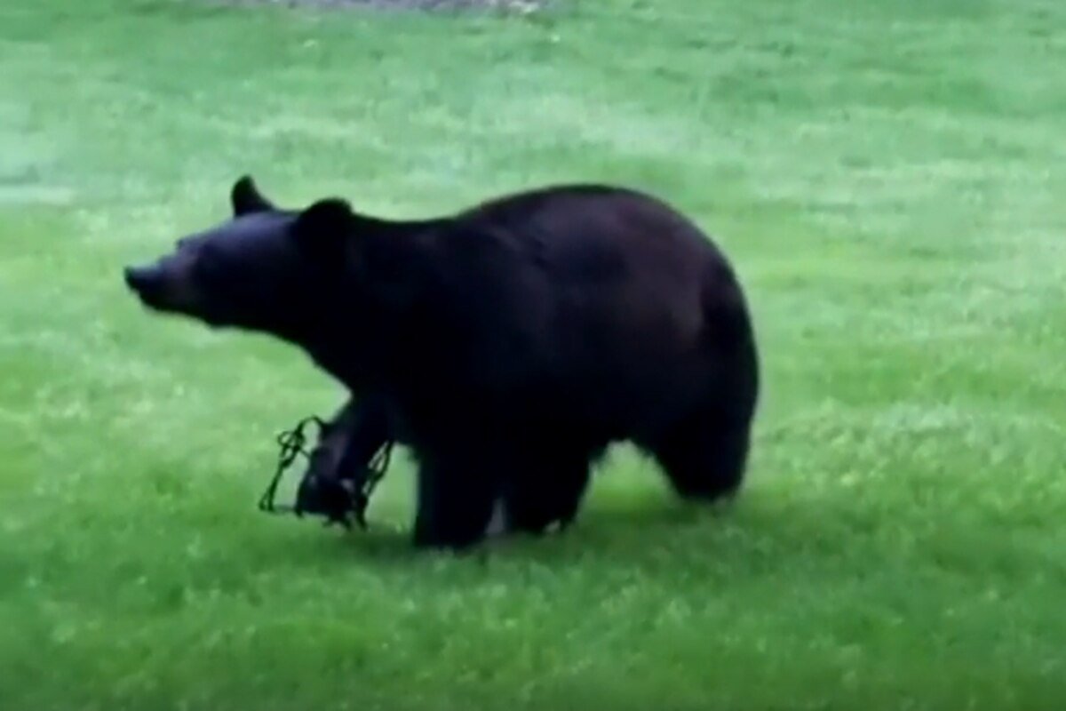 PeterLBrandt's tweet image. You figure out what I am trying to say.