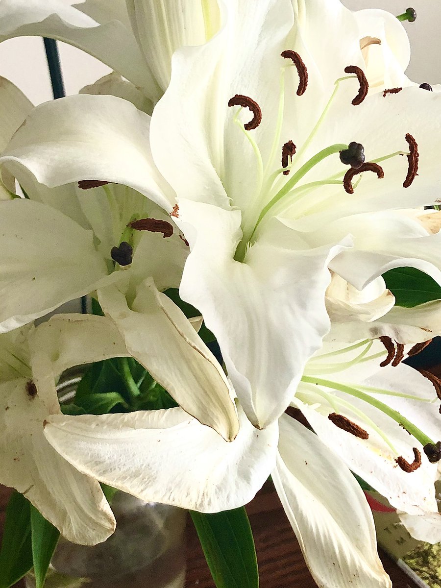 smithbeyco's tweet photo. Flower Power. “From the ordinary to the extraordinary, we have it all" https://t.co/eoK5Kl7q4x