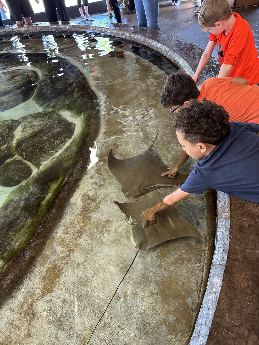 Kaylea Brokering tweet media