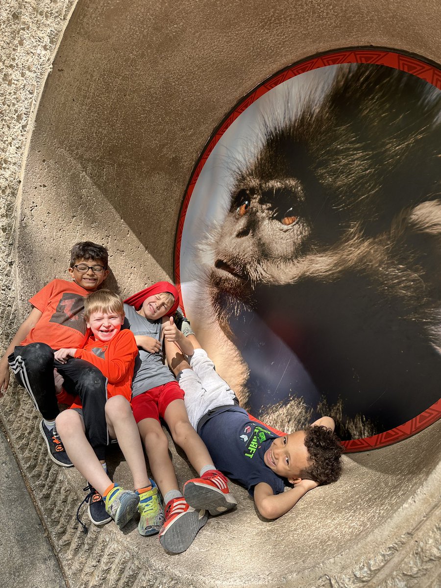 Kaylea Brokering tweet media