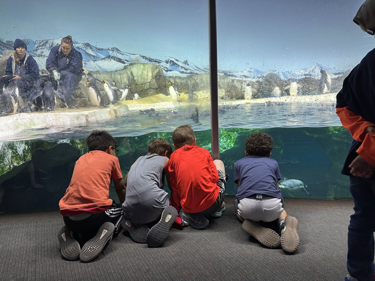 Kaylea Brokering tweet media