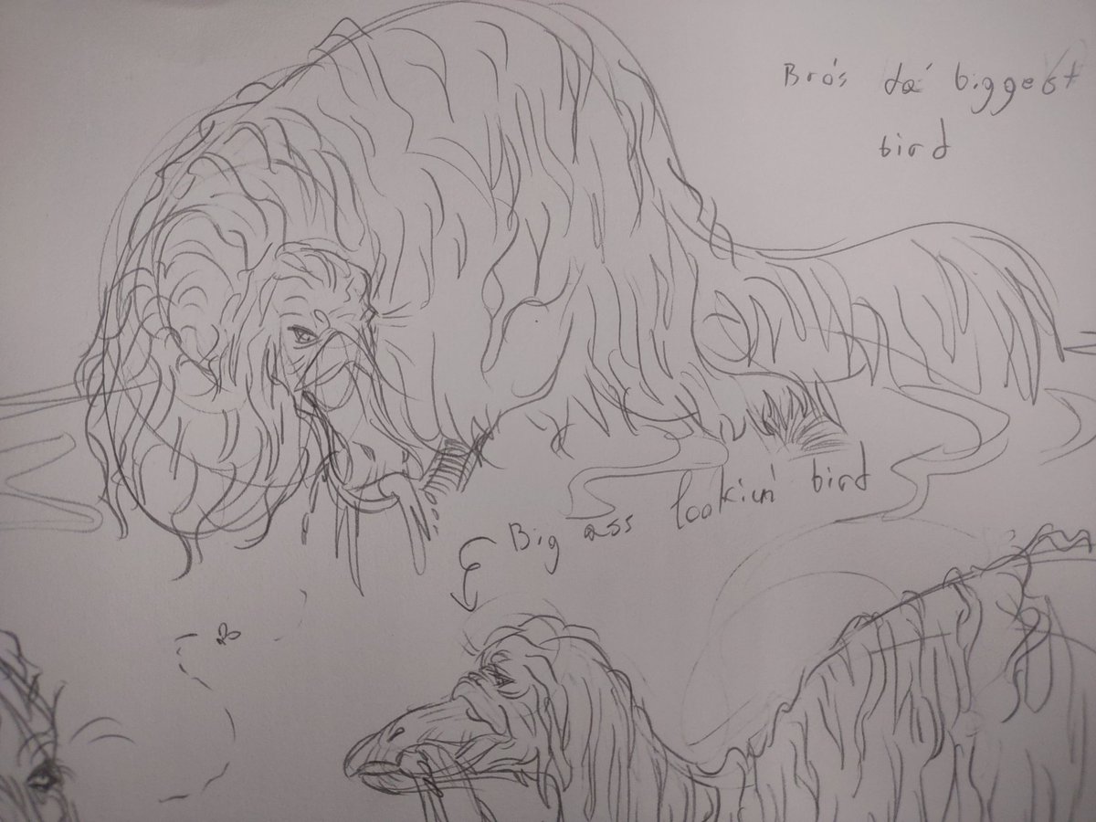 AresEule's tweet photo. Big ass shaggy bird my favorite #dinoart #dinosaurart #paleoart https://t.co/GhKy7k3BXD