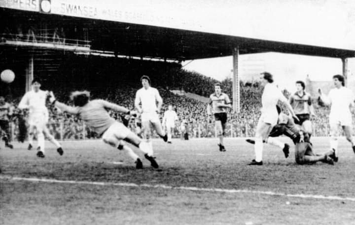 T O S H : A Feature Documentary tweet media