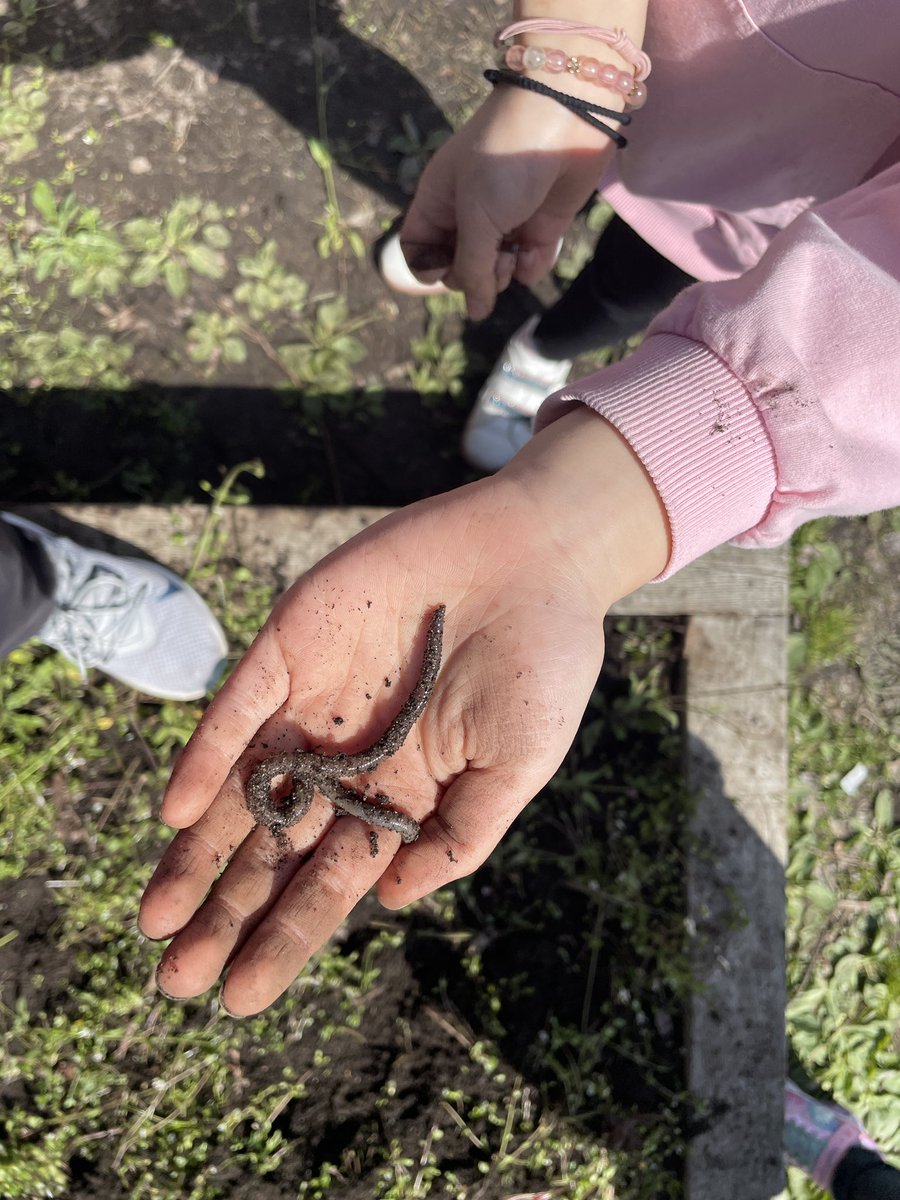 Signs of Spring at Blair! <a href="/RichmondSD38/">Richmond Schools</a> <a href="/BlairDragons/">Blair Elementary</a>