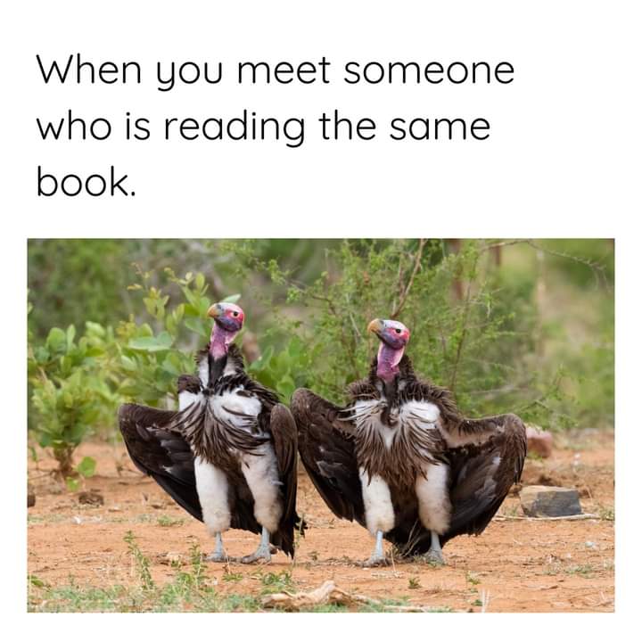 Twinsies!

#bdrpublishing #amreading #readingmemes #readmorebooks #bookworm #readingaddict #readingfriends #readingcommunity #readers